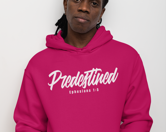 Predestined Mens Christian Hoodie