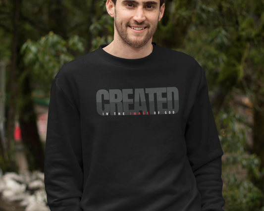 Created in the image of God Mens Christian Sweatshirt